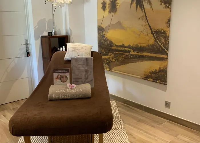 Les Voiles De Valescure D'hotes Et Son Espace Bien Etre 4* Saint-Raphaël