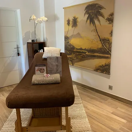 Les Voiles De Valescure D'hotes Et Son Espace Bien Etre 4* Сен-Рафаэль